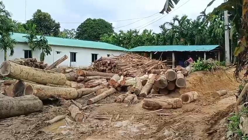 নাইক্ষ্যংছড়িতে অবৈধ করাতকলের দাপট; রাজস্ব হারাচ্ছে সরকার, দায়হীন প্রশাসন!