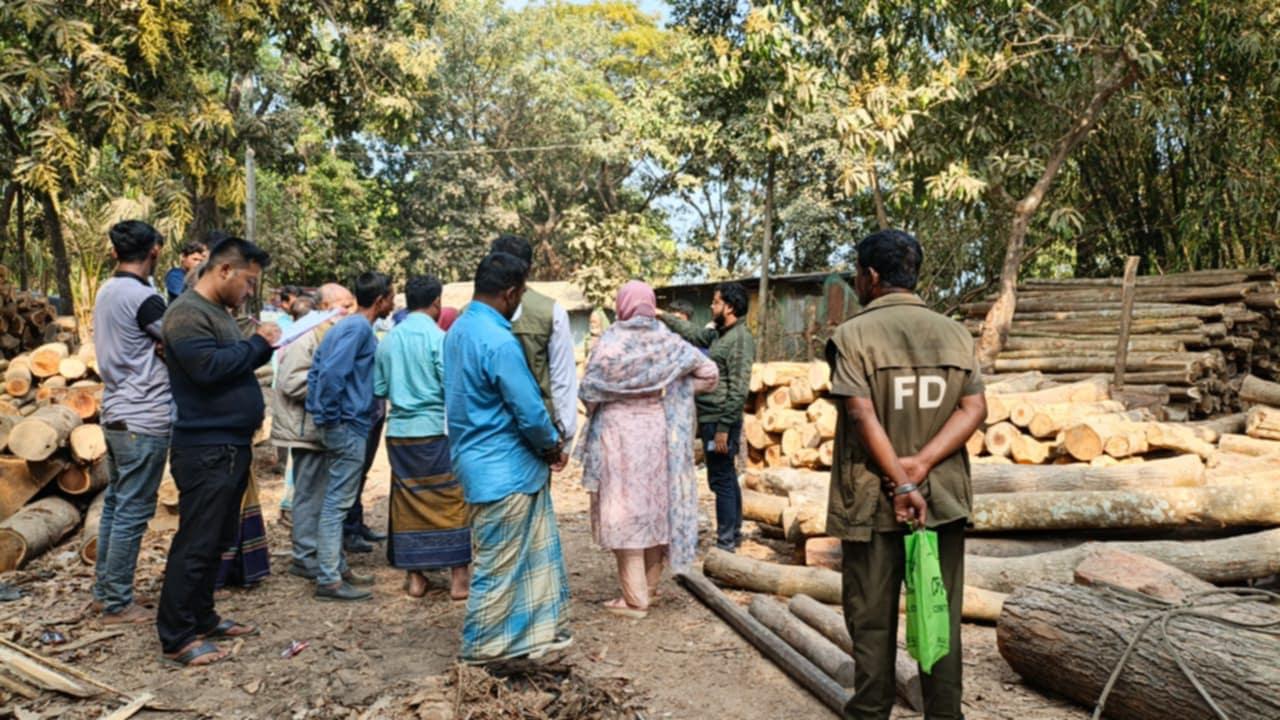 নাইক্ষ্যংছড়িতে অবৈধ করাতকলে অভিযান, ৭ মালিককে জরিমানা